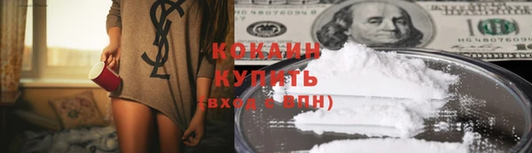прущие грибы Кукмор