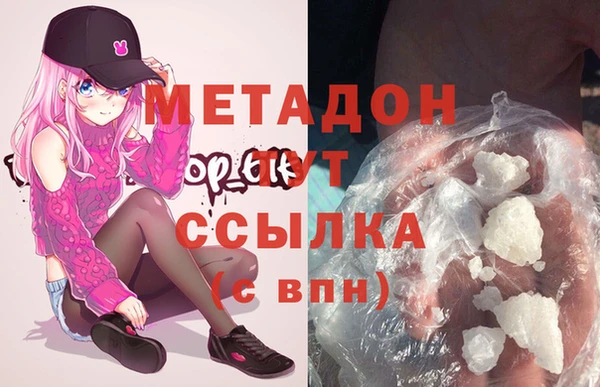 прущие грибы Кукмор