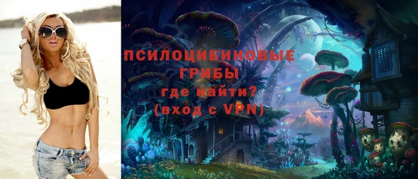 прущие грибы Кукмор