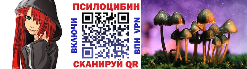Купить где  Любим  Псилоцибиновые грибы Psilocybine cubensis 